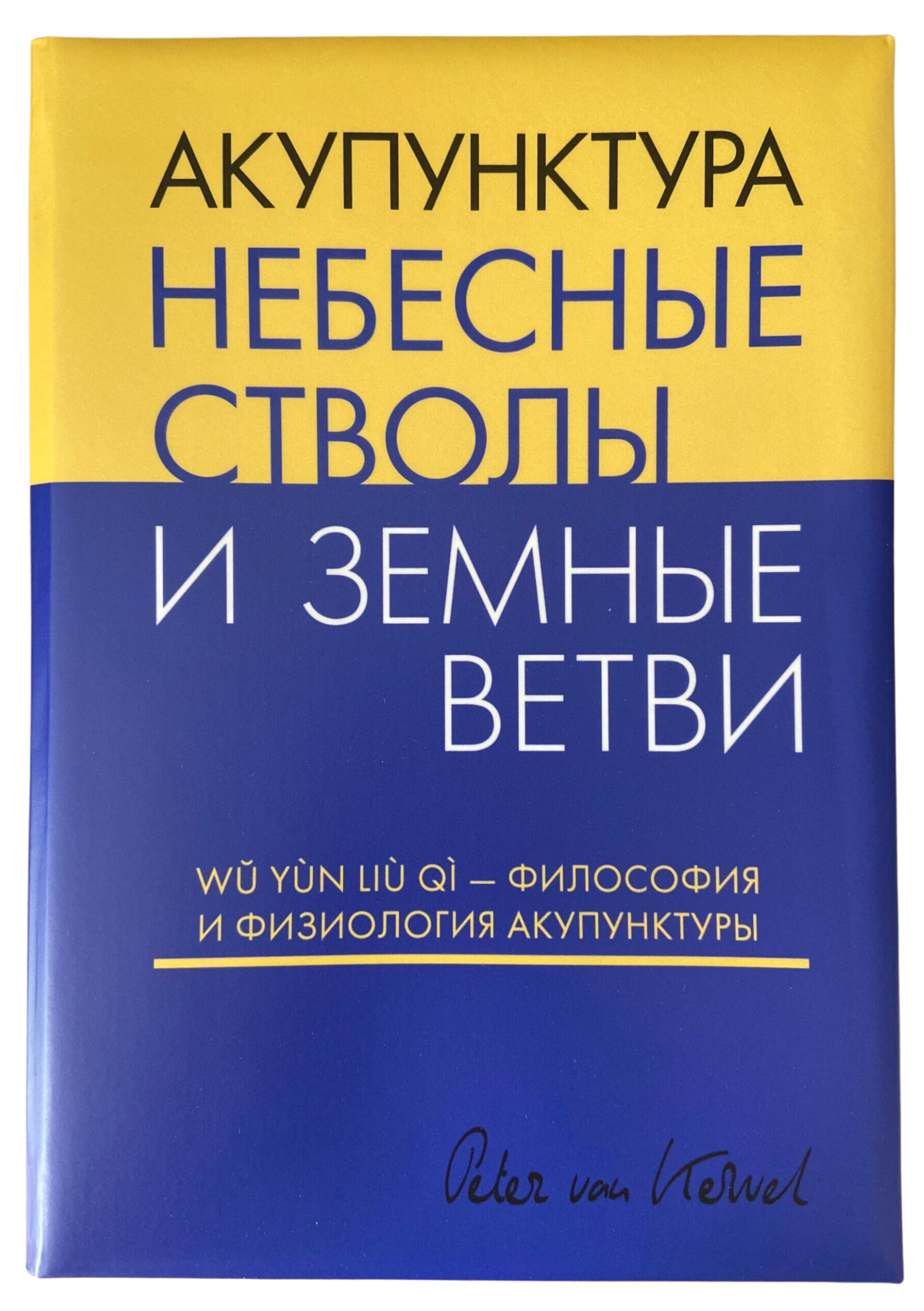 Dark_Mental_Health_Minimal_Ebook_Cover_1748_2480piks_1